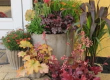 Jesień przed wejściem do domu Jesień przed wejściem do domu