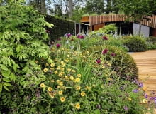 Miejski azyl (The Homebase Garden - Urban Retreat) zaaranżowano jako miejsce sprzyjające spotkaniom ludzi w otoczeniu natury. Modne materiały (beton, stal kortenowska, cedr) zestawiono tu z bujnymi kwiatami (kukliki, bodziszki, wilczomlecze itp.). Dach altany porasta łąka. Miejski azyl (The Homebase Garden - Urban Retreat) zaaranżowano jako miejsce sprzyjające spotkaniom ludzi w otoczeniu natury. Modne materiały (beton, stal kortenowska, cedr) zestawiono tu z bujnymi kwiatami (kukliki, bodziszki, wilczomlecze itp.). Dach altany porasta łąka.