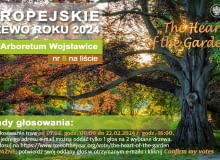 Drzewo europejskie Drzewo europejskie