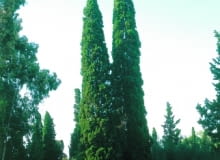 2523750 https bi