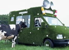 Innocent Drinkers, design, mleczny bar