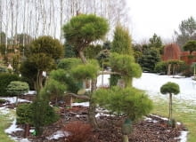 Ogród uczestników 'Z ogrodem na TY' Ogród uczestników 'Z ogrodem na TY'