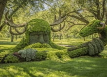Baśniowa scena w cieniu drzew. Baśniowa scena w cieniu drzew.