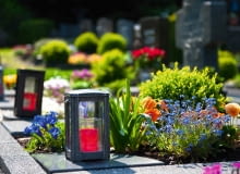 Na tym grobie stale rosną strzyżony bukszpan, irysy kłączowe i goryczki. Wiosną posadzono tu niezapominajki i bratki. Na tym grobie stale rosną strzyżony bukszpan, irysy kłączowe i goryczki. Wiosną posadzono tu niezapominajki i bratki.