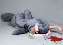 Shark Sleeping Bag rekin, śpiwór, pandora, shark sleeping bag