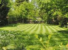 Robot koszący czy kosiarka na akumulator