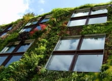 Zieleń nadaje architekturze nowych znaczeń, a fuzja pomiędzy technologią i naturą powoli wchodzi do kanonu projektowania. Coraz częściej roślinność wkracza w świat budynków, staje się namiastką dzikiej przyrody, pozwala odizolować się od zgiełku metropolii, a przy tym stanowi oryginalny element estetyczny. Prezentujemy przykłady żywych fasad. (na zdjęciu: ściana Musée du quai Branly w Paryżu (autor założenia J. Nouvel) projekt fasady - Patrick Blank) paryż, branly, patrick blank