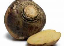 Brukiew ma kulisto-owalny korzeń i żółty miąższ.