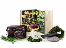 Pogodne jesienne dni to świetna okazja do tego, aby udać się do lasu na grzybobranie. Przed wyprawą warto zaopatrzyć się w odpowiedni ekwipunek - wygodne obuwie, nożyk, koszyk. W domu zaś przygotujmy wszystko co potrzeba, aby grzyby wysuszyć i przechować. <BR /> Akcesoria. Nóż ze szczoteczką, ok. 20 zł, Fiskars