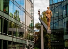 Patio Cosmopolitan Cosmopolitan