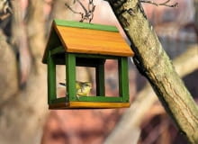 Karmnik dla ptaków Karmnik dla ptaków