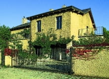 Pnącza samoczepne polecane są do ścian z cegły lub kamienia