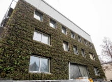 Na warszawskim Wierzbnie trwa modernizacja przedwojennej willi. I nie byłoby w tym nic dziwnego gdyby nie... pionowy ogród, który wyrósł na jej ścianach. Prawdopodobnie jest to największa zielona elewacja w tej części Europy Modernizowana willa na warszawskim Wierzbnie