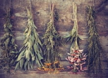 Suszenie kwiatów Suszenie kwiatów