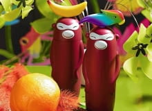 10.05.2012 , WNETRZA , DEKORACJE , TEMAT DZUNGLA , SESJA DLA : CZTERY KATY , STYLIZACJA JOANNA PLACHECKA . FOT. MICHAL MUTOR SLOWA KLUCZOWE: WNETRZA DEKORACJE