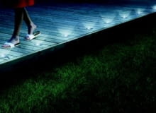 Oświetlenie ogrodu. Oświetlenie ogrodu.