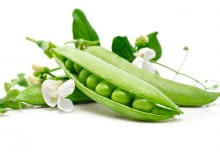 Zielonym groszkiem nazywane sa odmiany groszku łuskowego Zielonym groszkiem nazywane sa odmiany groszku łuskowego