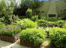 Podwyższane rabaty są wygodne, ale muszą być odpowiednio przygotowane 21.05.2008 LONDYN CHELSEA FLOWER 2008 WYSTAWA OGRODOW DLA CZASOPISMA OGRODY NZ OGROD WIEJSKI WARZYWNIK FOT. ARKADIUSZ SCICHOCKI / AGENCJA GAZETA PUBLIKACJA OGRODY NR 6 (122) - 6 2009 SLOWA KLUCZOWE: OGRODY WYSTAWY