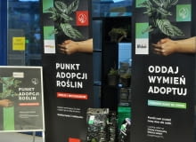 Punkt adopcji roślin Punkt adopcji roślin
