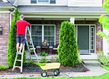 Skrócenie żywotnika o kilkadziesiąt centymetrów nie czyni mu szkody, ale większa ingerencja w kształt drzewa oszpeci je i osłabi. Skrócenie żywotnika o kilkadziesiąt centymetrów nie czyni mu szkody, ale większa ingerencja w kształt drzewa oszpeci je i osłabi.