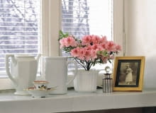 <B> Za oknami szaro i zimno, a do wiosny daleko. Na poprawę humoru warto sobie sprawić kwitnącą roślinę, która wniesie do mieszkania trochę ożywczego koloru. </B><BR /> Sporo gatunków roślin doniczkowych najładniej kwitnie właśnie o tej porze roku. Decydując się na zakup jednej z kolorowych piękności, wybierzmy taką, której będą odpowiadały warunki w naszym domu, gdyż tylko wtedy obsypie się kwiatami. Do chłodniejszych pomieszczeń (15-18 st. C) idealne są azalie, grudniki i cyklameny, do cieplejszych lepiej kupić anturium, falenopsis, kalanchoe lub fiołki afrykańskie. Pamiętajmy, że wszystkie rośliny kwitnące zimą potrzebują jak najwięcej światła, doniczki najlepiej więc ustawić w pobliżu okna. Jeśli chcemy, by przy jakiejś okazji zdobiły na przykład stół daleko od okna, przenieśmy je tam, ale na krótko. <BR /> ROŚLINY DONICZKOWE: azalia, niewielki krzew albo drzewko. Kupując roślinę, koniecznie sprawdźmy, czy oprócz kwiatów ma także pączki - wtedy będzie długo zdobiła mieszkanie. Podlewamy ją często, bo nawet po krótkim okresie bez wody szybko zwiędnie. Lubi chłód, najobficiej kwitnie w temperaturze około 15 st. C. AZALIA AZALEA PORCELANA ARANZACJA FOT. PAWEL SLOMCZYNSKI / AGENCJA GAZETA PUBLIKACJA KWIETNIK NR 10 (130) - 10.2005 SLOWA KLUCZOWE: ROSLINY NACZYNIA WNETRZA KWIATY ZDJĘCIE DO WKŁADKI: PUBLIKACJA KWIETNIK NR 10 (130) - CZASOPISMA