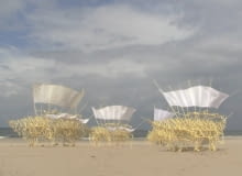 Tajemnicze konstrukcje stworzył artysta Theo Jansen Tajemnicze konstrukcje stworzył artysta Theo Jansen