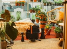 Nowa linia produktów do pielęgnacji roślin doniczkowych Urban Plant Care