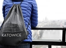 Cuda krowskie, projekt: Artur Wosz