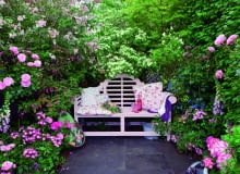 Uroczy kącik skrywa gąszcz kwiatów, m.in. róż, jaśminowców, lilaków. Dzięki temu jest kameralny i pachnący. Uroczy kącik skrywa gąszcz kwiatów, m.in. róż, jaśminowców, lilaków. Dzięki temu jest kameralny i pachnący.