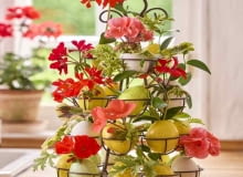 Kolorowa, pełna życia i w oczekiwaniu na lato – taka jest Wielkanoc z pelargoniami!