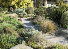 The Dry Garden in spring at RHS Garden Hyde Hall.