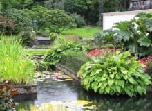 Ogród Muséhagen w Bergen Ogród Muséhagen w Bergen