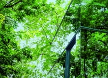 Dom na miarę naszych czasów to przede wszystkim dom ekologiczny i ekonomiczny Ekologiczny i ekonomiczny dom