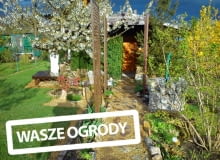 Ogród Państwa Kowalskich