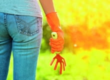 shutterstock_177067622 Efired