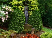 U podnóża altanki z cisu i bukszpanu posadzono azalię japońską, miniaturowy świerk i begonię. U podnóża altanki z cisu i bukszpanu posadzono azalię japońską, miniaturowy świerk i begonię.