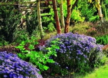 dodatki, ogród, akcesoria ogrodowe, donica