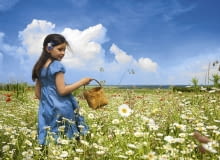 Powiązane w pęczki bukieciki z rumianku, lebiodki i krwawnika powieszono kwiatostanami w dół w suchym pomieszczeniu.