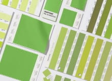 Kolor roku 2017 Kolor roku 2017