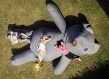 Przytulanka na ulicach Warszawy Przytulanka na ulicach Warszawy