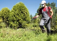 Po zbiorze warzyw możemy opryskać grządki preparatami Roundup, Tajfun 360 SL lub Glifoherb 360 SL, aby zniszczyć wszelkie chwasty. Po zbiorze warzyw możemy opryskać grządki preparatami Roundup, Tajfun 360 SL lub Glifoherb 360 SL, aby zniszczyć wszelkie chwasty.