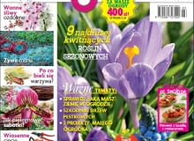 Magazyn Magnolia 2015