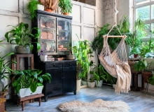 Wnętrza pełne roślin Wnętrza pełne roślin