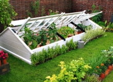 OGROD , INSPEKT DLA ROSLIN FOT. MALGORZATA DYRSKA PUBLIKACJA OGRODY NUMER SPECJALNY 1/2011 - 50 SPOSOBOW NA PIEKNY OGROD - 5 2011