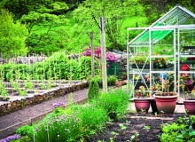 Wiosną i latem zimna szklarnia świetnie nadaje do przygotowywania rozsady warzyw i kwiatów. Wiosną i latem zimna szklarnia świetnie nadaje do przygotowywania rozsady warzyw i kwiatów.