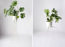 Monstera, czyli potworna doniczka; proj. Tim van de Weerd monstera, doniczka, design, projekt, ciekawy projekr