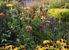 Byliny pełnią w tym ogrodzie najważnieszą funkcje - to one zapewniają mu zmienność, bogactwo kolorów i kwiatów Byliny pełnią w tym ogrodzie najważnieszą funkcje - to one zapewniają mu zmienność, bogactwo kolorów i kwiatów