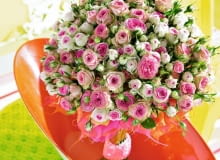 <b> KWIATOWY IMIENNIK. Mało kto wie, że niektórym osobom można wręczyć imieninowy kwiat noszący ich imię lub nazwę wyraźnie się z tym imieniem kojarzącą. My przygotowaliśmy taki zestaw dla osób świętujących w styczniu, ale warto zadać sobie nieco trudu i sprawdzić, czy solenizanci z innych miesięcy też mają swoich kwiatowych imienników. </b> <BR /> RÓŻA DLA ROZALII (27.01) I RÓŻY. Tu nie ma wątpliwości - imię pochodzi od kwiatu. To chyba najpopularniejszy całoroczny kwiat imieninowo-urodzinowy i ostatnio, walentynkowy. Możemy wybrać cięte lub miniaturkę w doniczce.