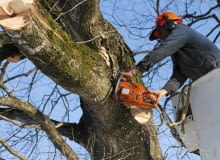 Warto wiedzieć, jakimi cechami wyróżnia się dobra pilarka Warto wiedzieć, jakimi cechami wyróżnia się dobra pilarka