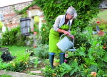 Cukinię i inne warzywa warto zasilać nawozem płynnym z humusem. Cukinię i inne warzywa warto zasilać nawozem płynnym z humusem.
